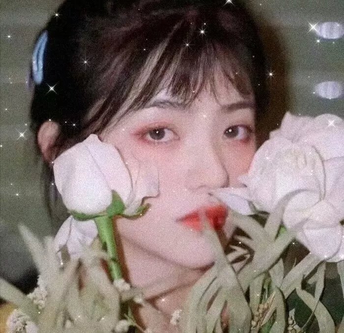 噬血神差